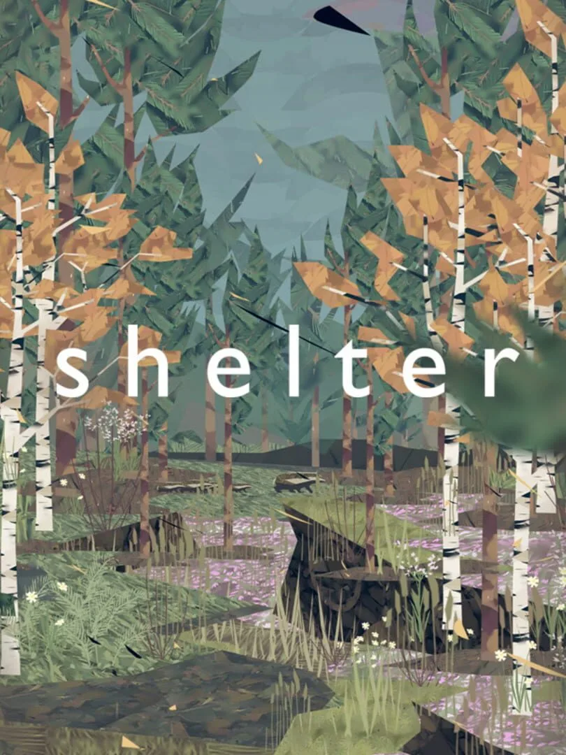 Shelter — cover