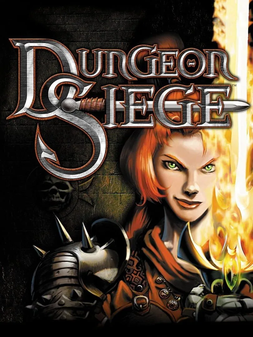 Dungeon Siege — couverture