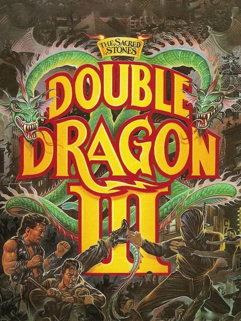 Double Dragon III: The Sacred Stones — cover