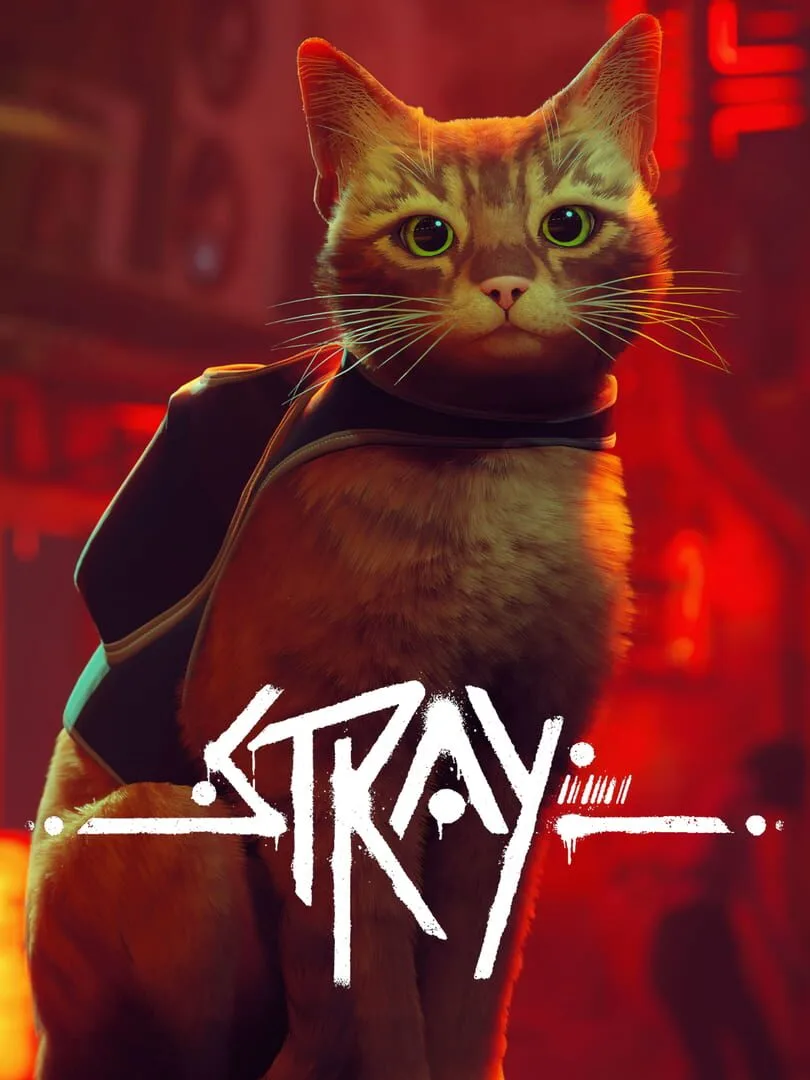 Stray — cover