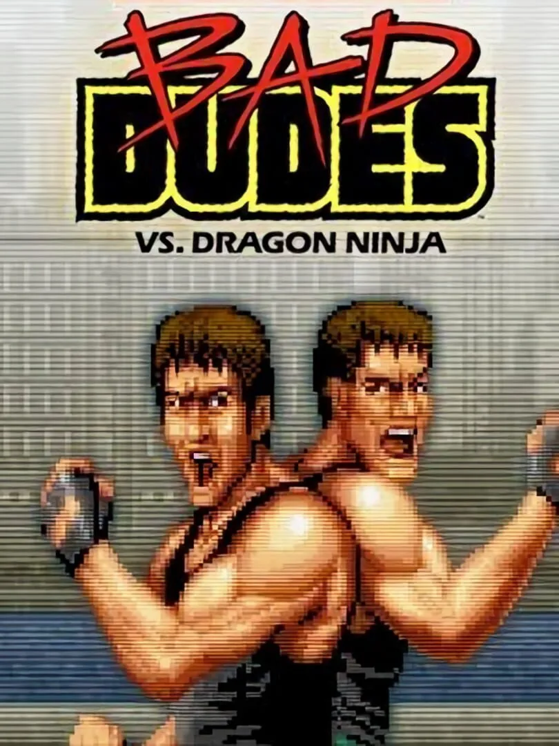 Bad Dudes vs. Dragon Ninja — couverture