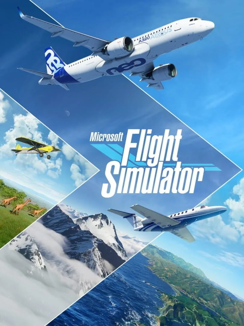 Microsoft Flight Simulator — couverture