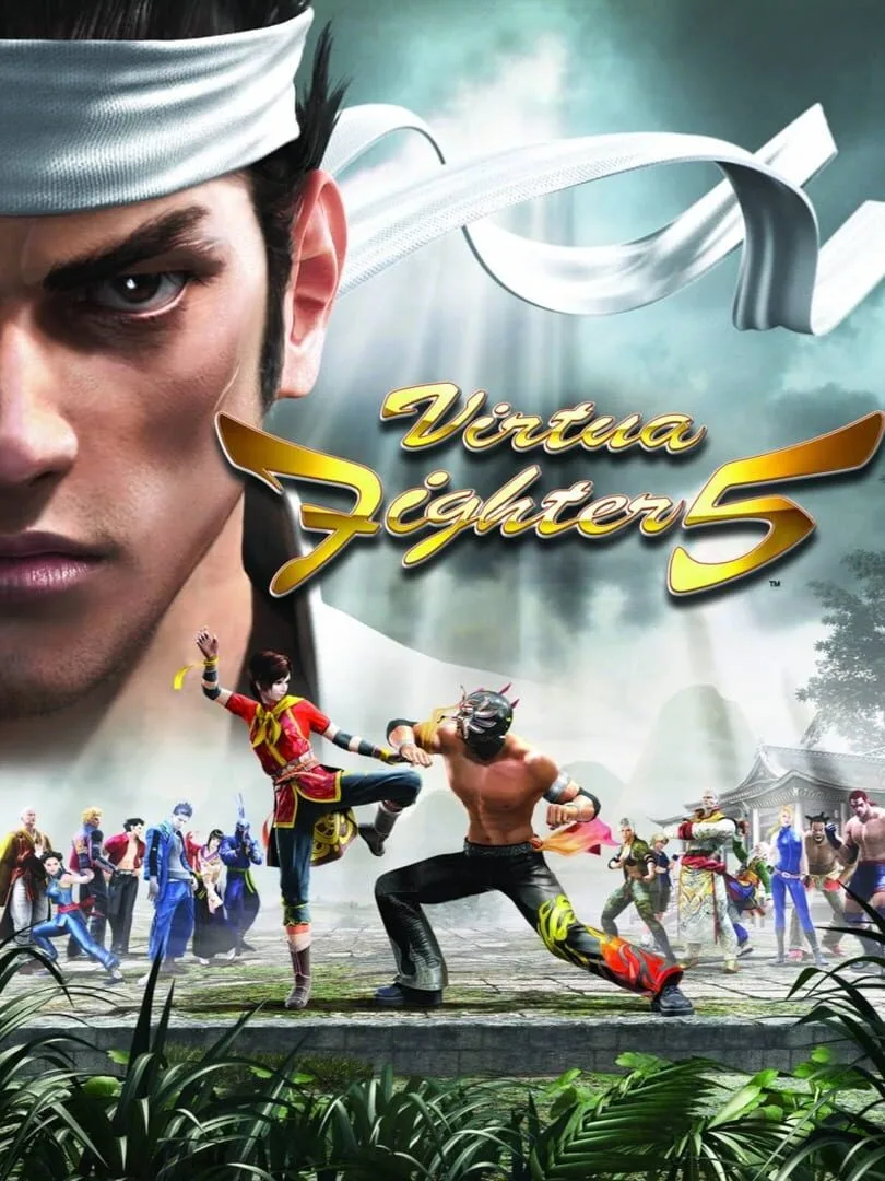 Virtua Fighter 5 — couverture