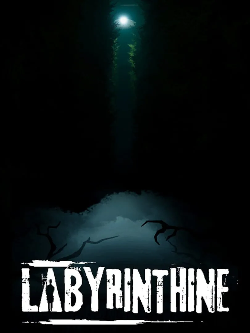 Labyrinthine — couverture